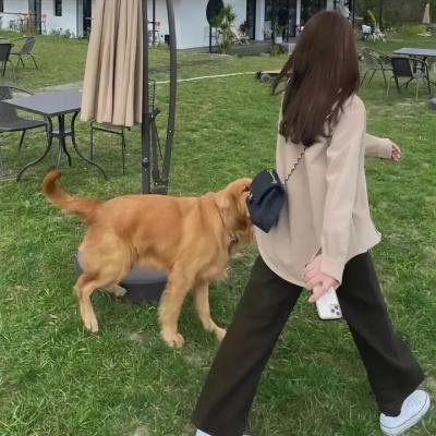 暴力之音 海报